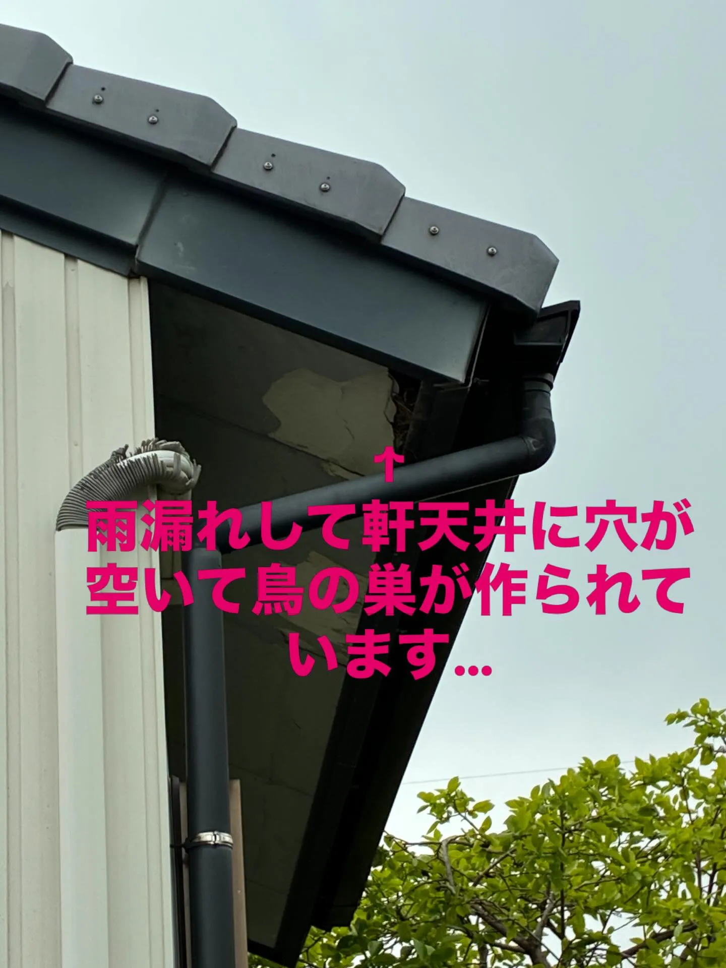 #住宅リフォーム　#屋根工事　#外壁塗装