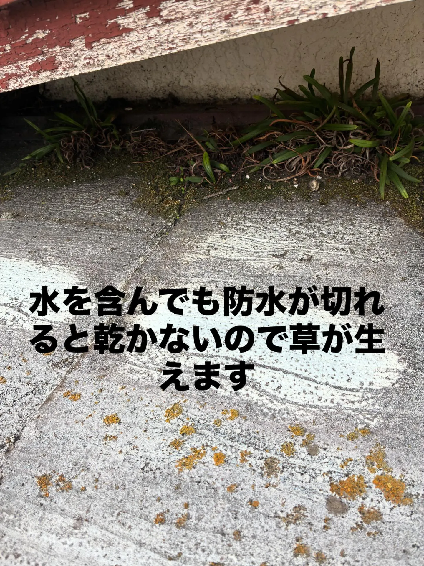 #住宅リフォーム　#屋根工事　#外壁塗装